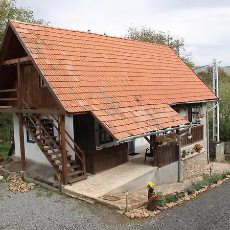 Guest house Pensiunea Energy *