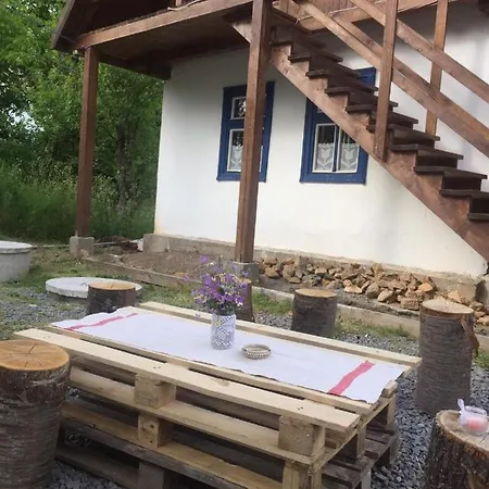 Guest house Pensiunea Energy